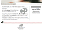 Desktop Screenshot of perfectwebsolutions.com